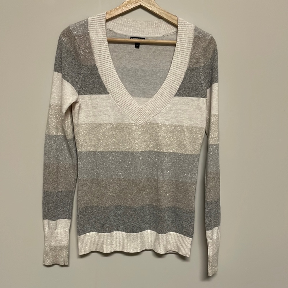 Express Earthstone Shimmer Sweater